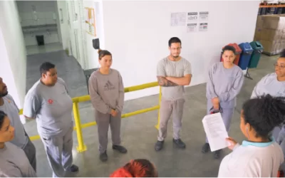 Ativo 12